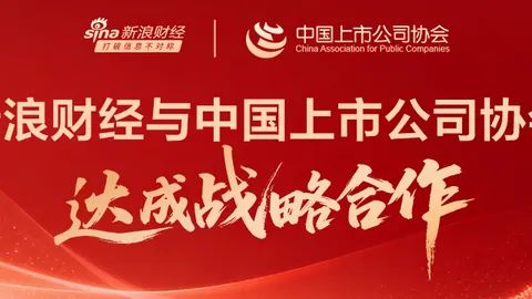 网易新游公测，开云代理官网，火爆，奇幻世界受热捧